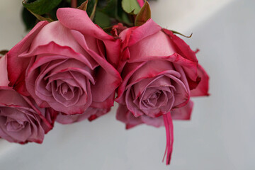 bouquet of pink roses