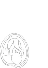 Baby embryo line art line art