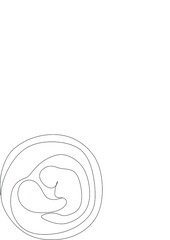 Baby embryo line art line art