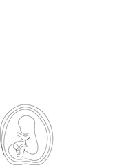 Baby embryo line art line art