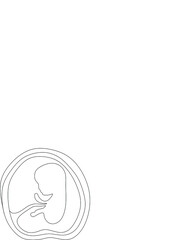 Baby embryo line art line art