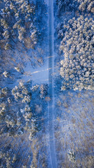 Transport in winter. Snowy road and forest in winter.