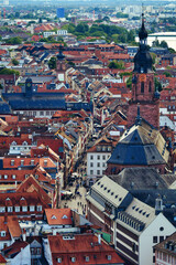 Fototapety na wymiar - Fototapeta24.pl