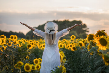 Fototapeta na wymiar A young girl in a field with sunflowers, wearing a white summer dress and hat.