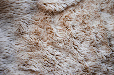 Texture of beige shaggy fur with folds.