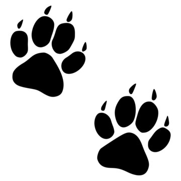 Tiger fingerprints icon with flat style. Isolated vector tiger fingerprints icon image on a white background.