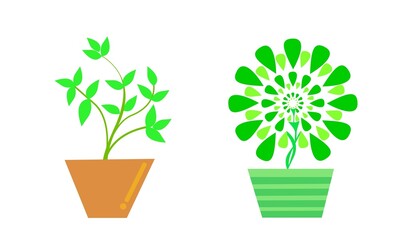 Illustration tree in pot. Vase color green and color blown. Design leaf in a circle. object on white background.