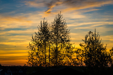 Zach&oacute;d słońca nad drzewami w Suszczu