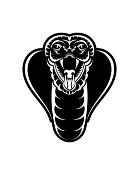 Cobra face icon black illustration. The emblem with king cobra for a sport team. Print design for t-shirt.
