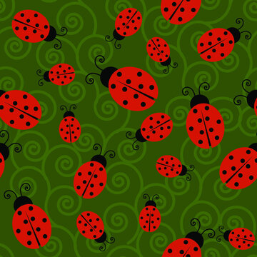 Ladybugs 