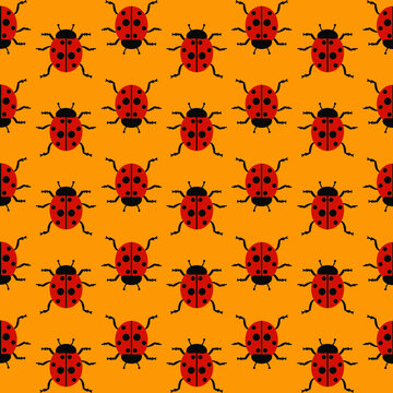 Ladybugs 