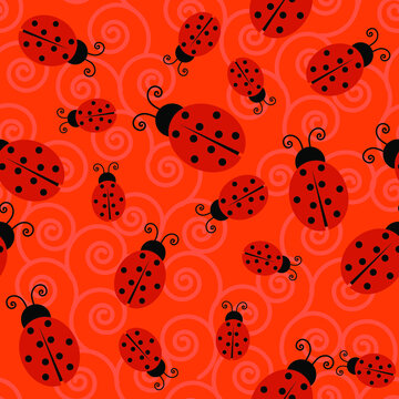 Ladybugs 