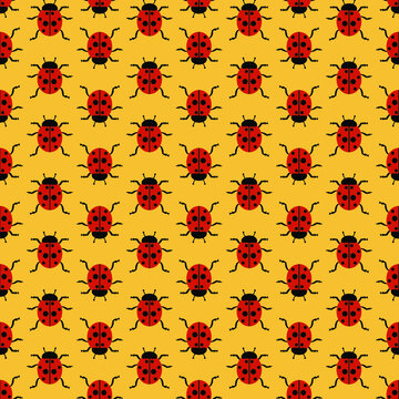 Ladybugs 