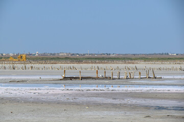 dry pink salt lake and red algae desert landscape