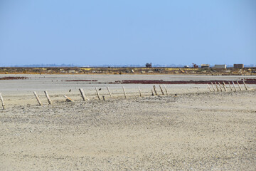 red algae grow in salt desert landscape