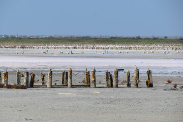 dry pink salt lake and red algae desert landscape