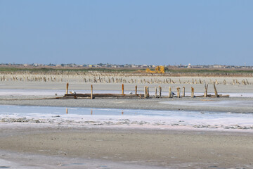 dry pink salt lake and red algae desert landscape