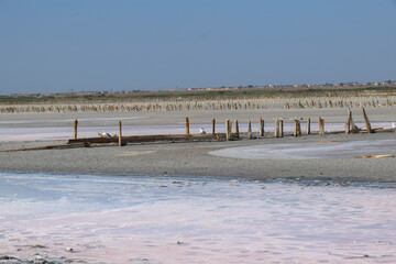 dry pink salt lake and red algae desert landscape