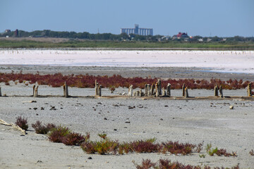 dry pink salt lake and red algae desert landscape