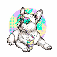 Cute cartoon french bulldog with ice cream . Bright summer composition for printing on any surface