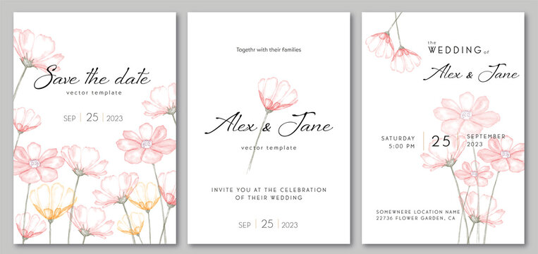 Watercolor floral print, floral background. Botanical pattern