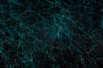 turquoise abstract background texture. A closeup of mold, crystals and mold filaments. Neurointerface
