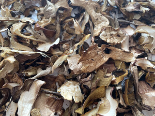 Dried mushrooms healthy food cuisine