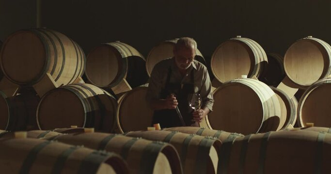 Winemaker checking on wine by sampling pipette . Man testing wine in a factory or warehouse . Portrait of a senior well-dressed winemaker checking the wine . Shot on ARRI ALEXA Camera Slow Motion .