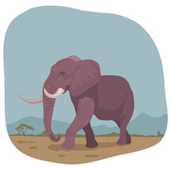 African Elephant illustration
