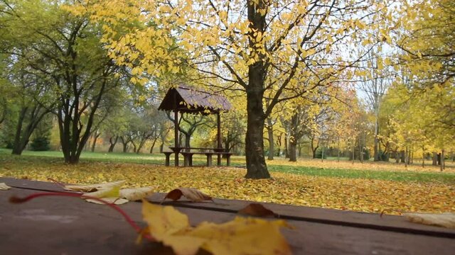 Autumn leaves on a table in a gazebo in a city park. The wind flutters the yellow leaves. On the ground is a carpet of autumn fallen leaves..