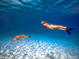 Free diver woman with blue fins underwater swimming with wild turtle in sea in Cyprus, ocean lover,...