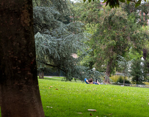 Un hombre tumbado en el cesped de un parque en Bilbao viendo el movil. 
