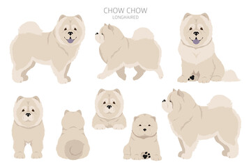 Chow chow longhaired variety clipart. Different poses, coat colors set