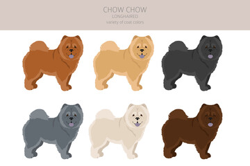 Chow chow longhaired variety clipart. Different poses, coat colors set