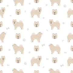 Chow chow longhaired variety seamless pattern. Different poses, coat colors set