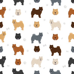 Obraz premium Chow chow shorthaired variety seamless pattern. Different poses, coat colors set