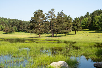 Paisaje de la laguna