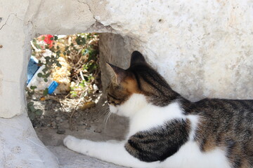サントリーニ島