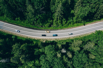 Aerial drone view of green forest with curved road.