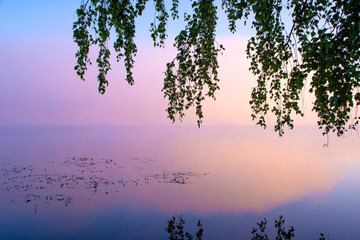 Foggy morning over the river and birch branches