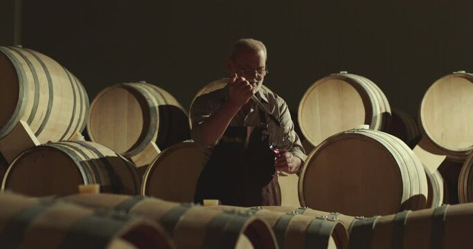 Winemaker checking on wine by sampling pipette . Man testing wine in a factory or warehouse . Portrait of a senior well-dressed winemaker checking the wine . Shot on ARRI ALEXA Camera Slow Motion .