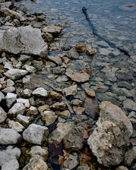 Water's rocky edge 