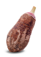 Taro isolated on white background