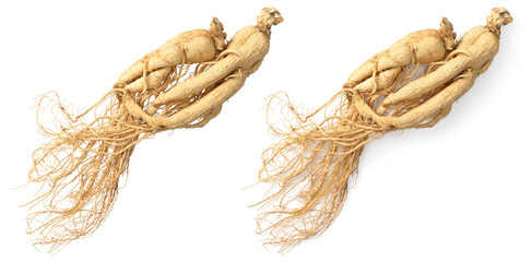 Dried ginseng roots isolated on white background, top view