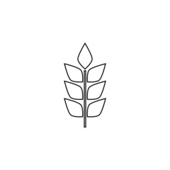 wheat icon, food vector, crop illustration