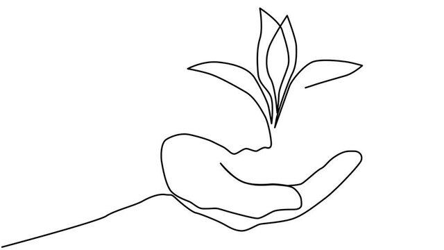 Self-drawing a continuous line of sprout in hand, plant. Growth and development concept