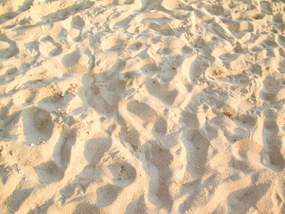 sand ripples on the beach