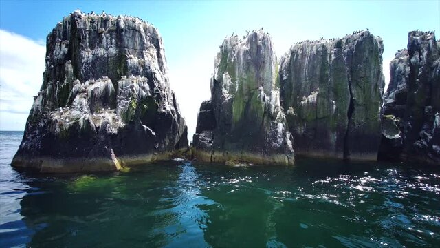 Bird watching on Farne Islands - Northumbrian Coast