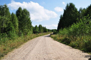 Fototapeta na wymiar Dirt road to the forest. Panorama of a rural road. Summer day in the forest.