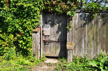 Wooden door in the fence. Old door. View of a fence made of boards with a door. Background, design.